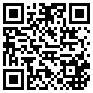 qrcode tuttosullapostaelettronica play edicola