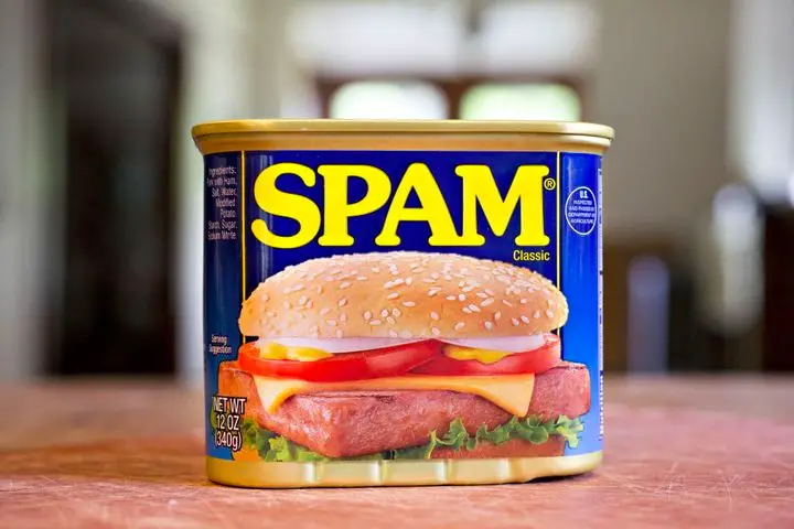 La prima email di spam
